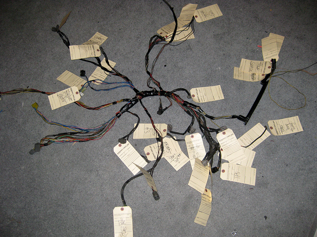 harness2.jpg